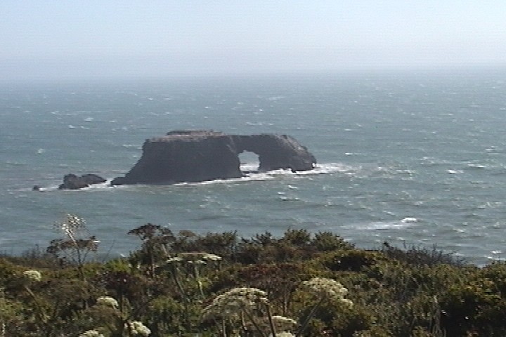 coastrock.jpg